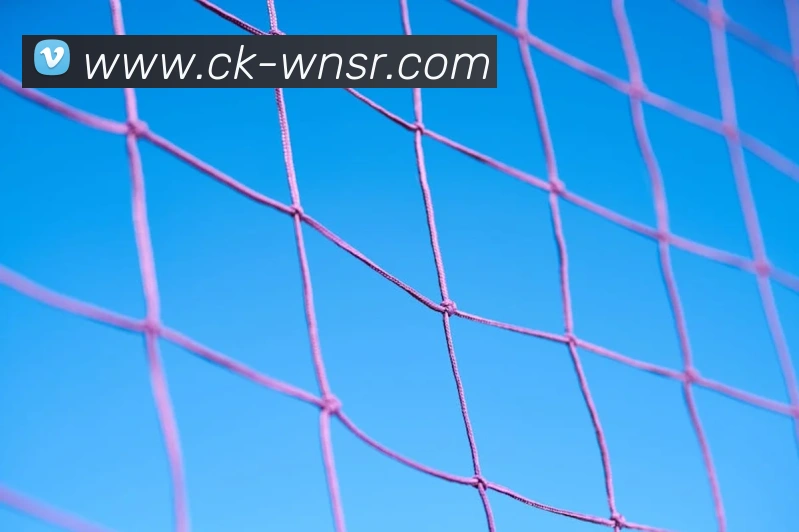 威尼斯人娱乐官网品牌故事